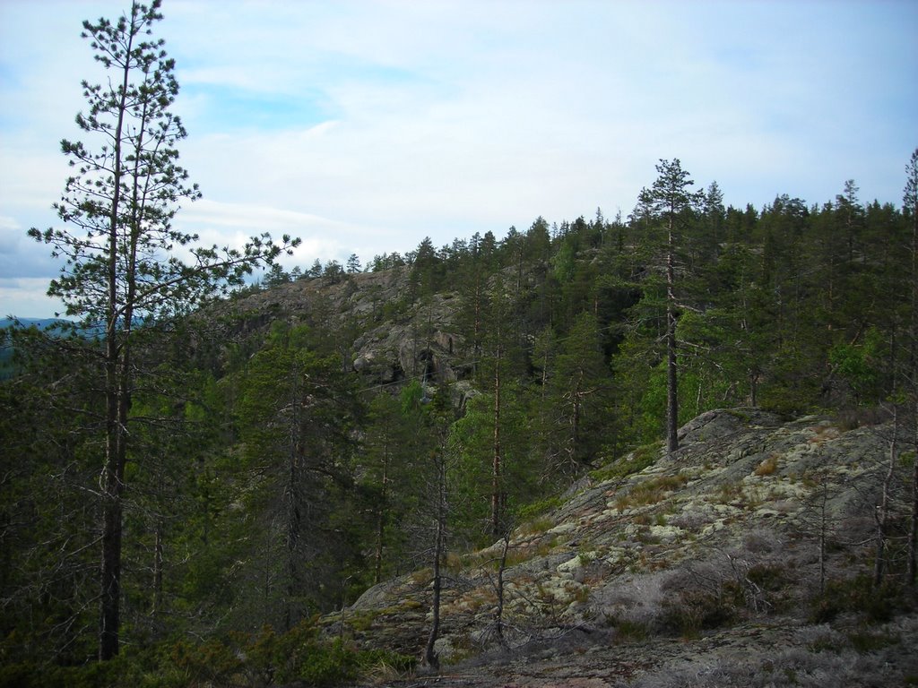 Skuleberget 12.06.2009 by Kaupo