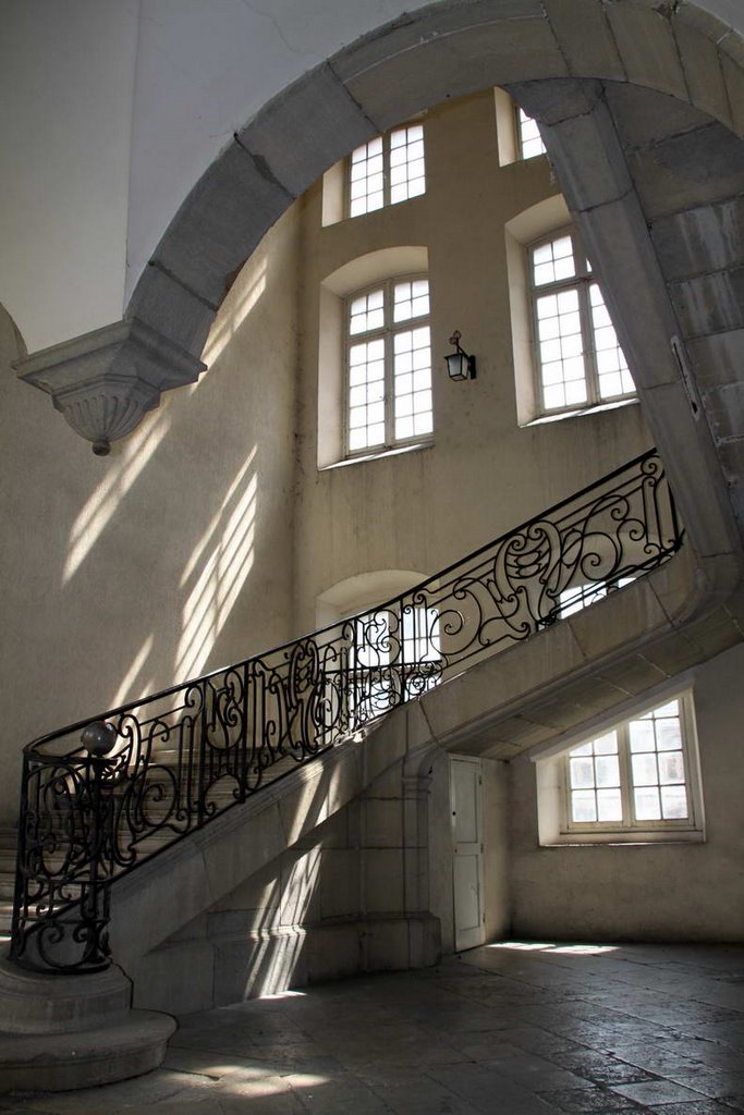 Escalier monumental de l'Hotel Dieu de Lons by letam