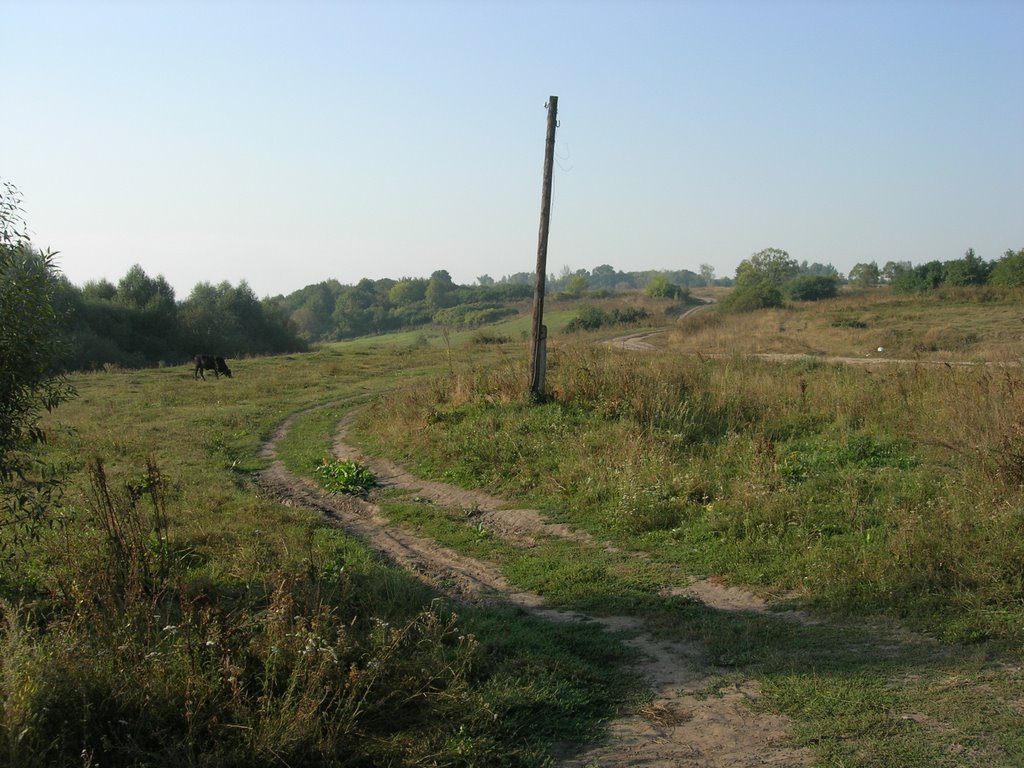 Zolotukhinsky District, Kursk Oblast, Russia by gssfk