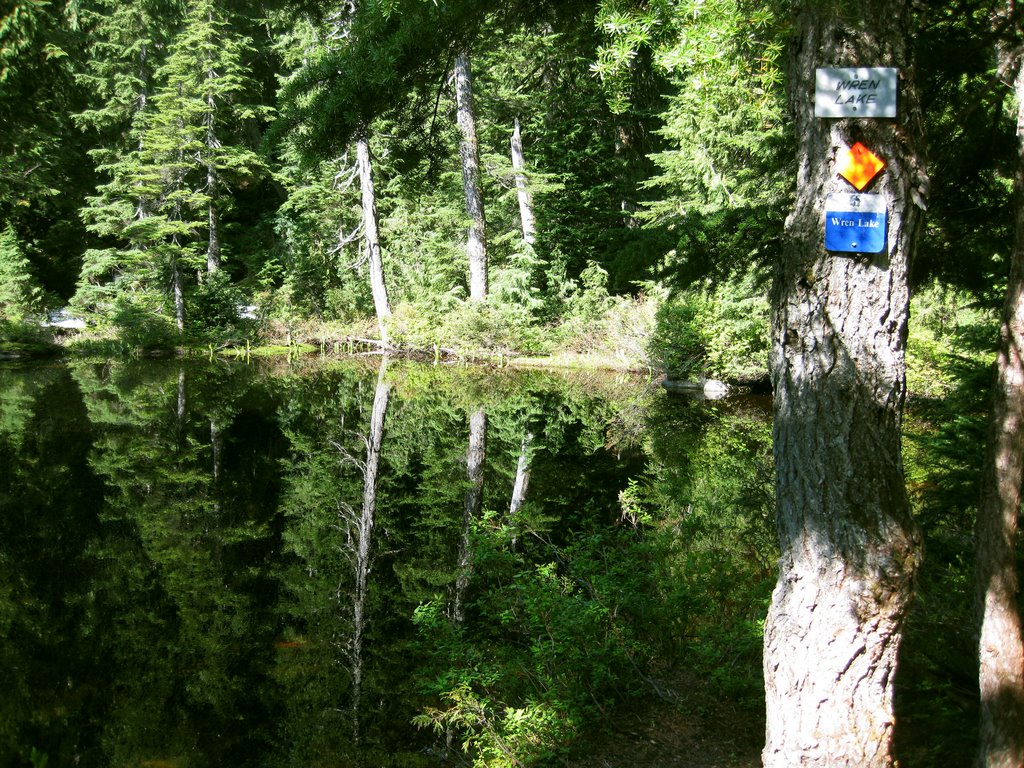 Wren Lake by mbitz