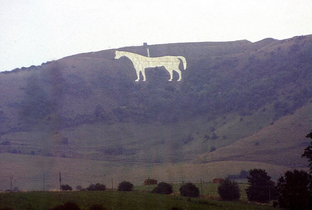 White Horse, Westbury, agosto 1994 by Marco Ferrari