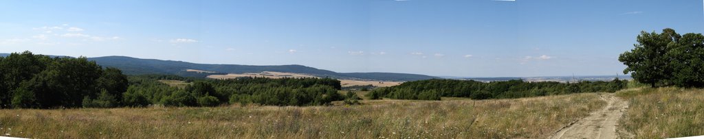 Blick Richtung Hoch-Weisel by Jonas A.