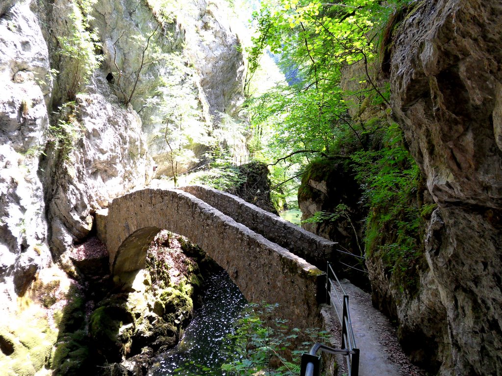 Gorges de l'Areuse by Alfred Mueller