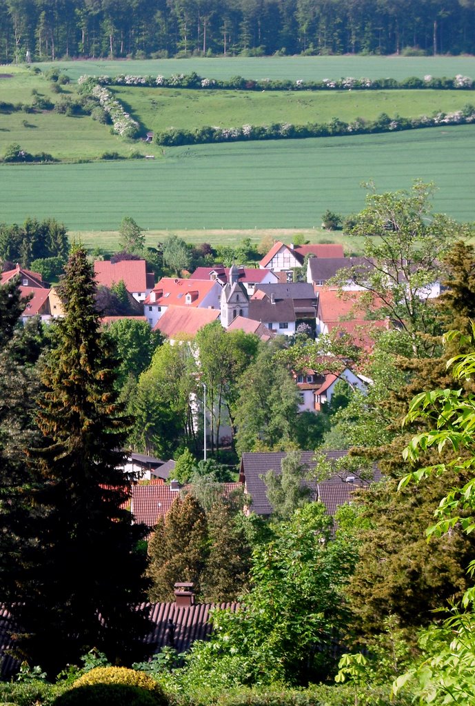 Early morning view over Husen, Lichtenau by mook88