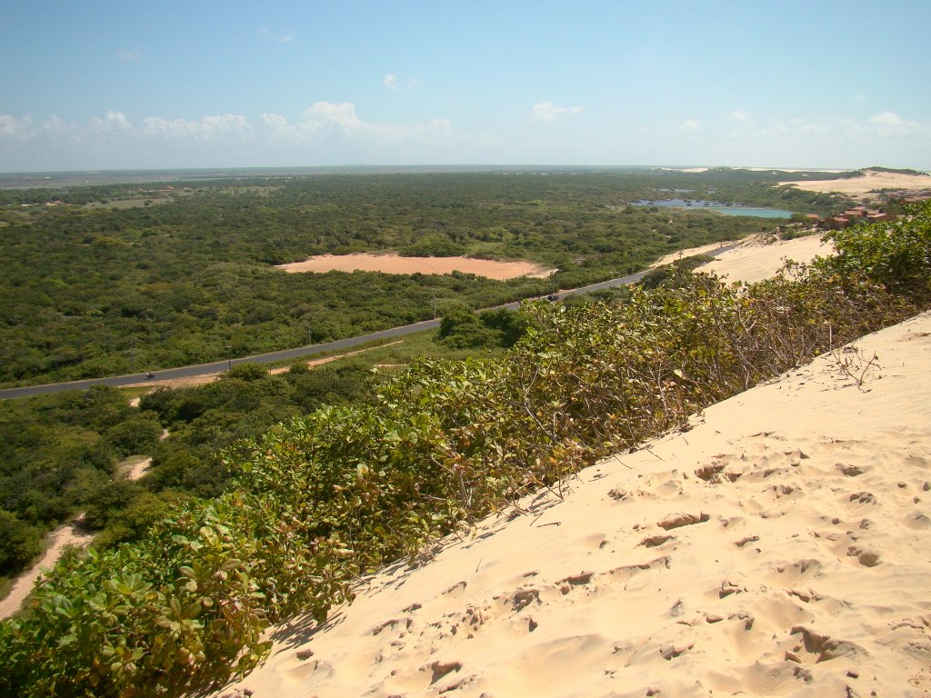 Dunas e mata by Lucas Conrado