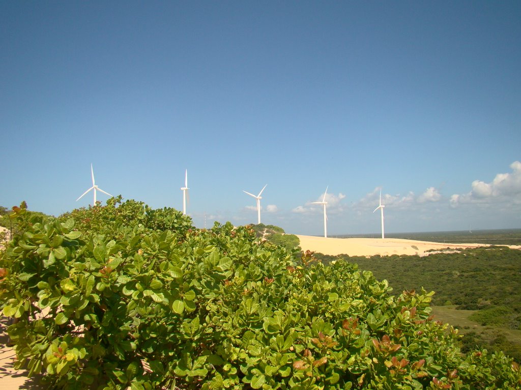 Cajueiros e torres de energia eólica by Lucas Conrado