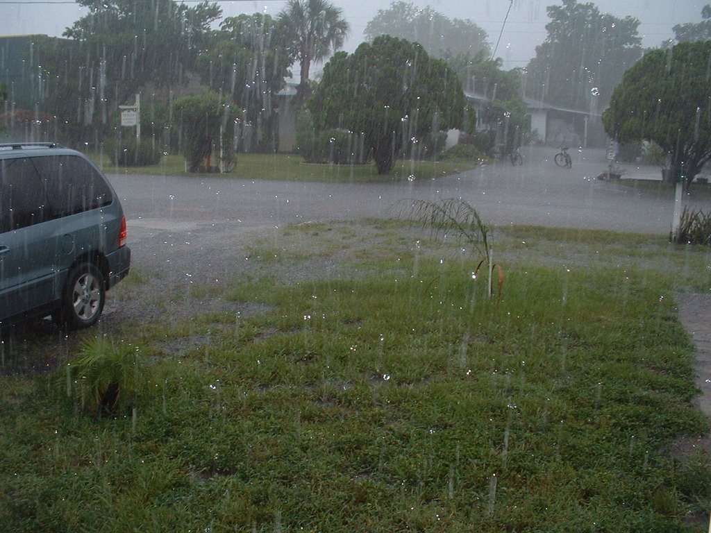 July Storm In Cleawater by Karl m s