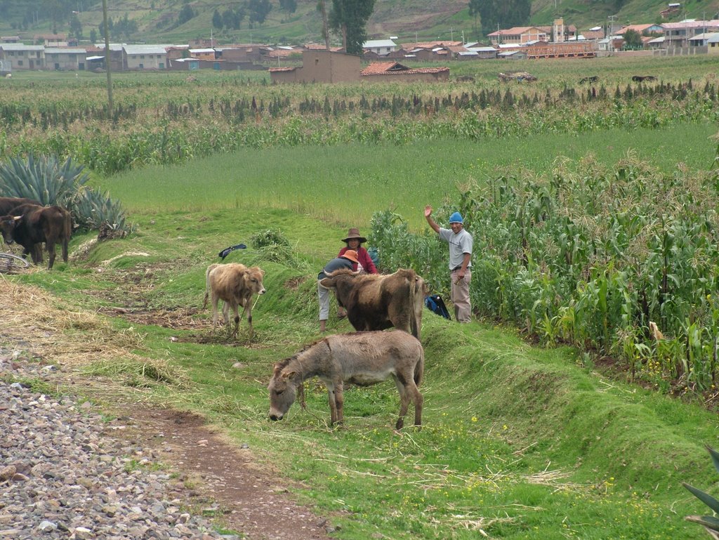 From the "The Andean Explorer", Cusco to Puno, Peru by A Shropshire Lad