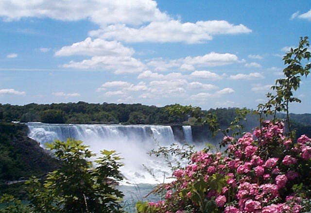 Niagara Falls by hale2jo