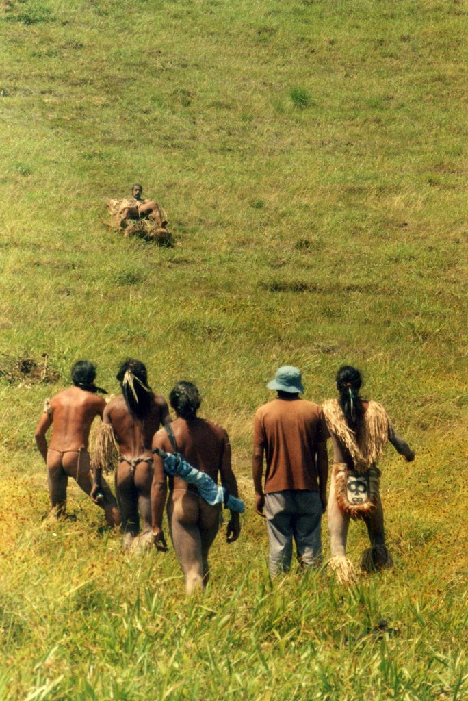 DESCENTE A LUGE ( composée de troncs de bananiers)DU VOLCAN PAR UN GUERRIER LORS DU TAPATI ( fète traditionelle en fevrier 2004) by CADEAC BERNARD