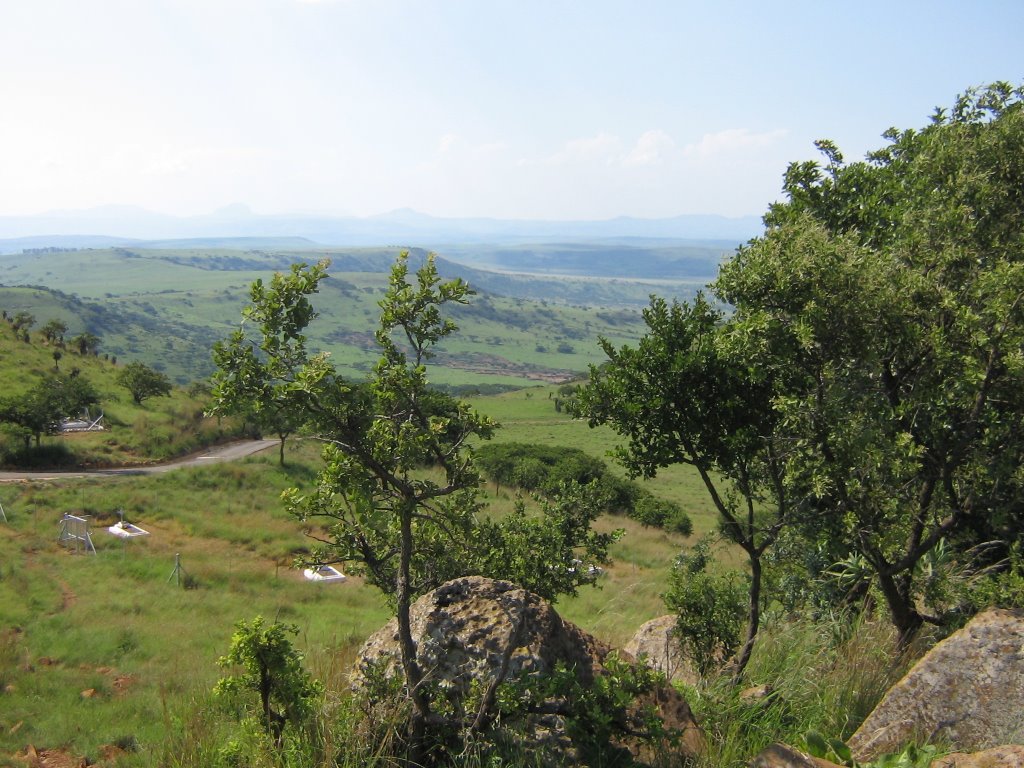 KWAZULU-NATAL, SOUTH AFRICA: DESCENT FROM SPIOENKOP by Elizabeth H. Roome