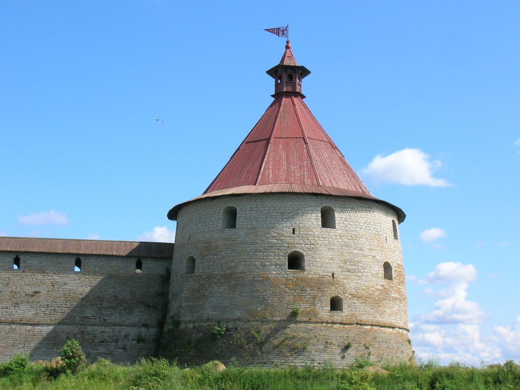 18, Sheremetyevka, Leningradskaya oblast', Russia, 188679 by Oleg SPb