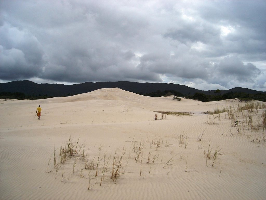 Dunas em Floripa by Adilson de Souza