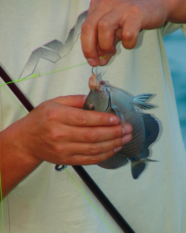 Fishing in Providenciales by Marius M.