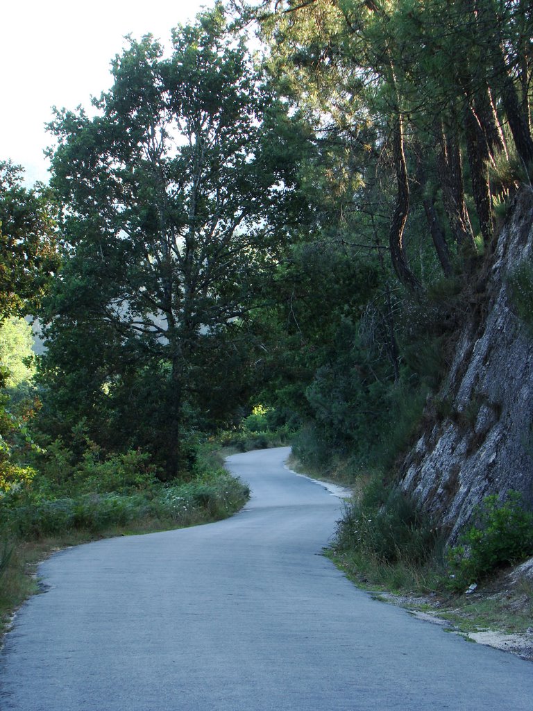 Estrada de Adopisco by mondrian