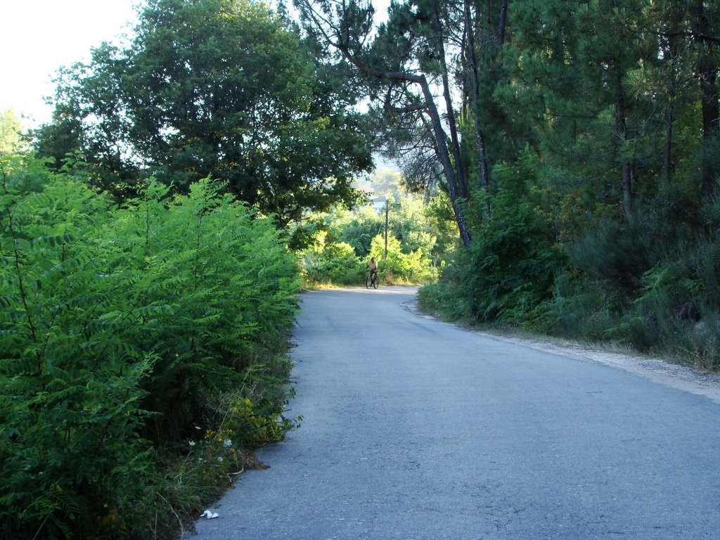 Estrada de Adopisco by mondrian