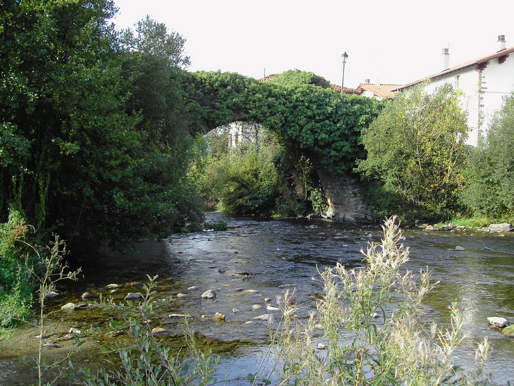 El puente de la Rabia by qalim