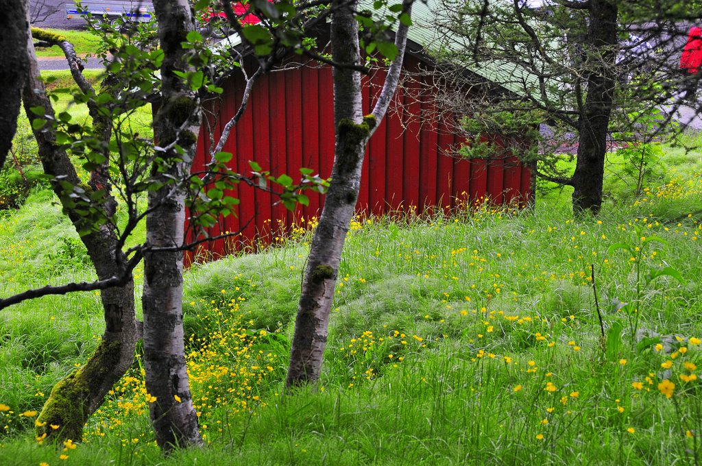 Kirkjubaejarklaustur village, southern Iceland by kluke