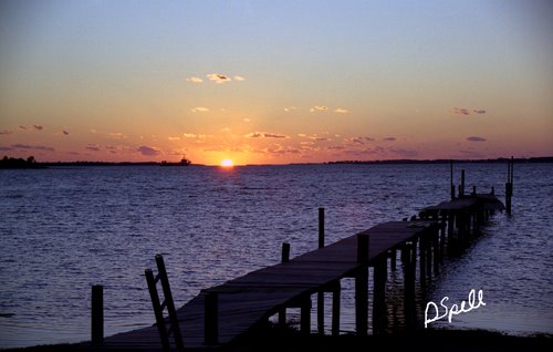 Florida Orange Sunset 2005 by Darlene Spell