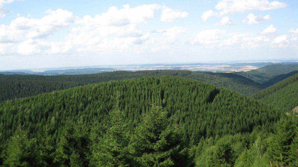 Liebesbankweg / Sieben Teiche-Tour by Vince Weber