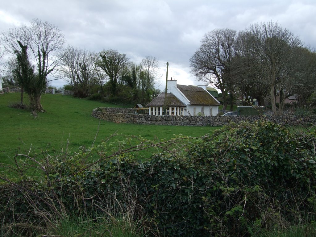 Tatched Cottage by Alan Larkin