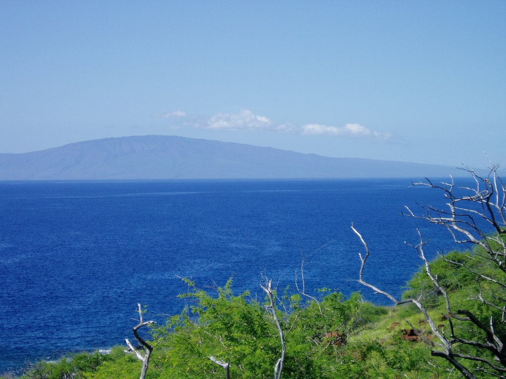 Maui, Hawaii by Salatico