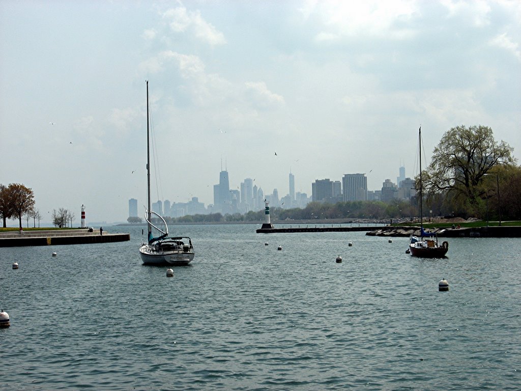 Montrose Harbour - Chicago, IL by Mark BogDania