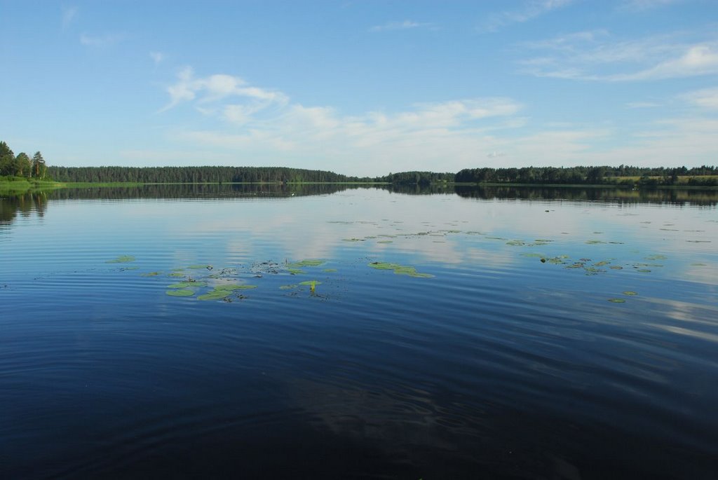 Chepolshevo Lake by Vjacheslav Stepanov