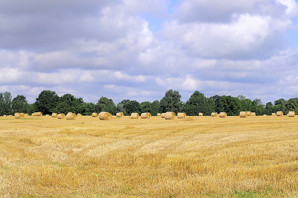 Lukšių sen., Lithuania by U.A.B.