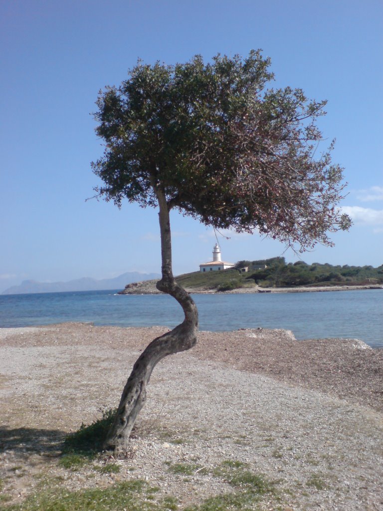 Alcúdia, Balearic Islands, Spain by timon1973