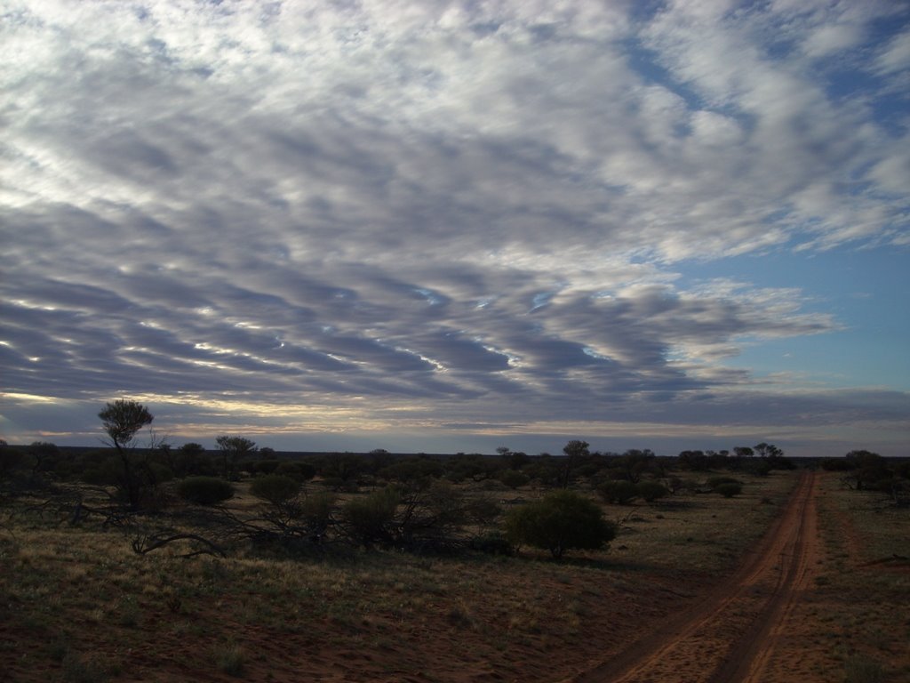 Near Aurora tank by singing geo