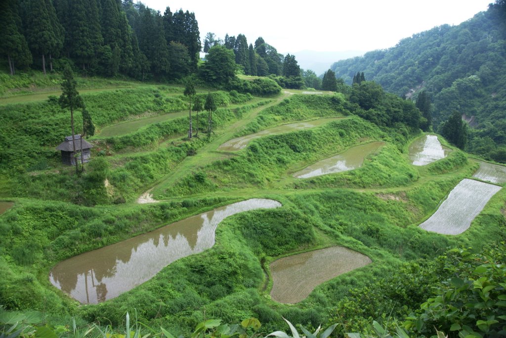 松之山棚田 by hatsuru kurihara