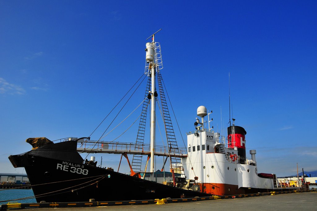 Whaling ship, Reykjavik, Iceland by kluke