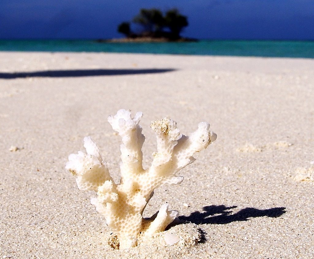 Kaafu Atoll, Maldives by Gianluca Z.