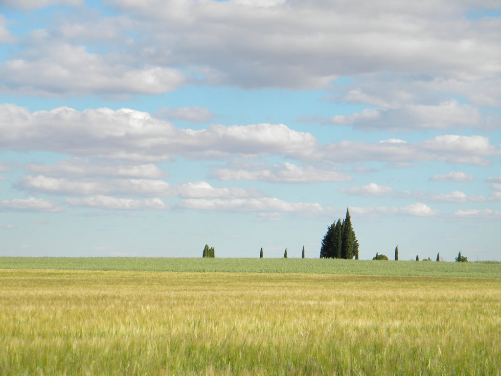 Campos de Trigo by sirbilbo