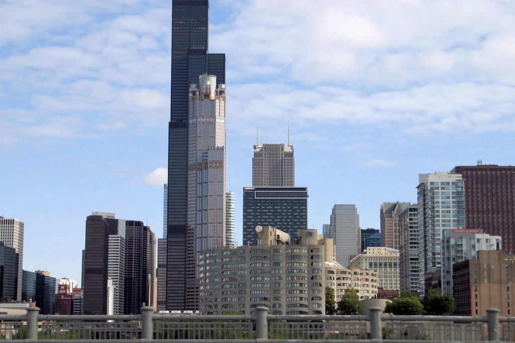 Chicago Loop, Chicago, IL, USA by Georg Engelmann