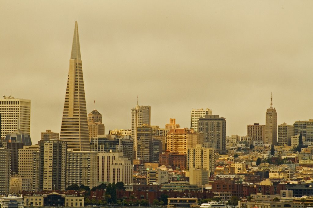 San Francisco from Yerba Buena Isle by reindl