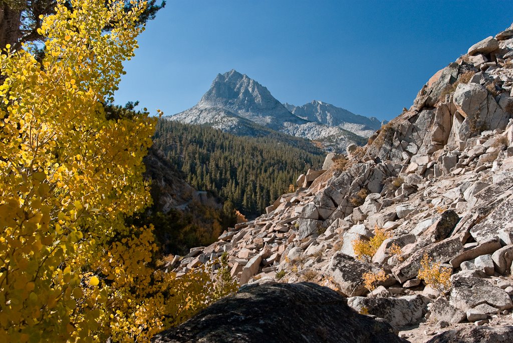 Bishop Creek in Autumn by Greg Nyquist