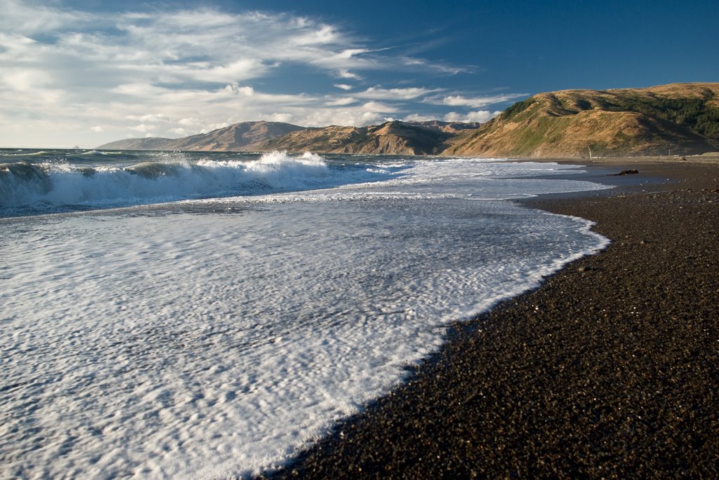 Lost Coast Surf by Greg Nyquist