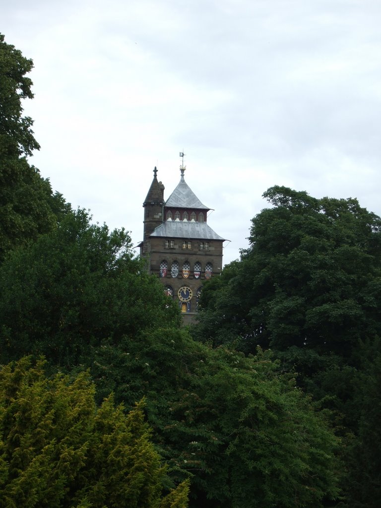 Cardiff Castle from Bute Park, Cardiff, Wales by Brian McGrath