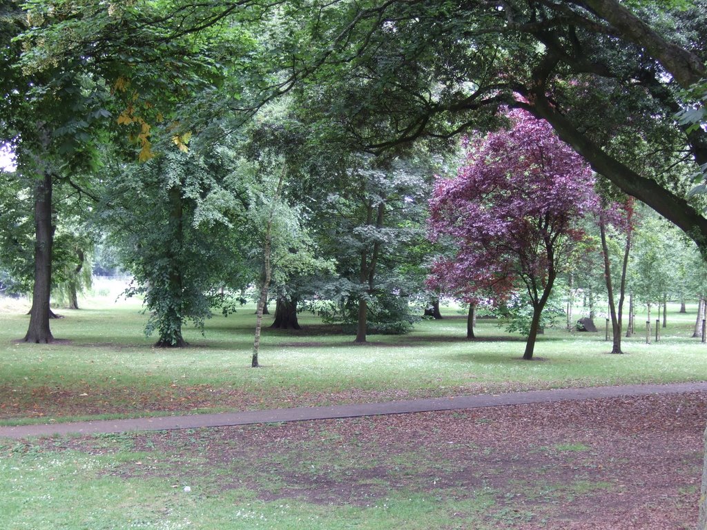 Bute Park, Cardiff by Brian McGrath