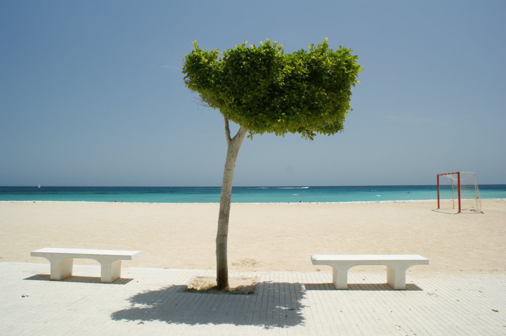 Altea, Alicante, Spain by Alain Winterberger