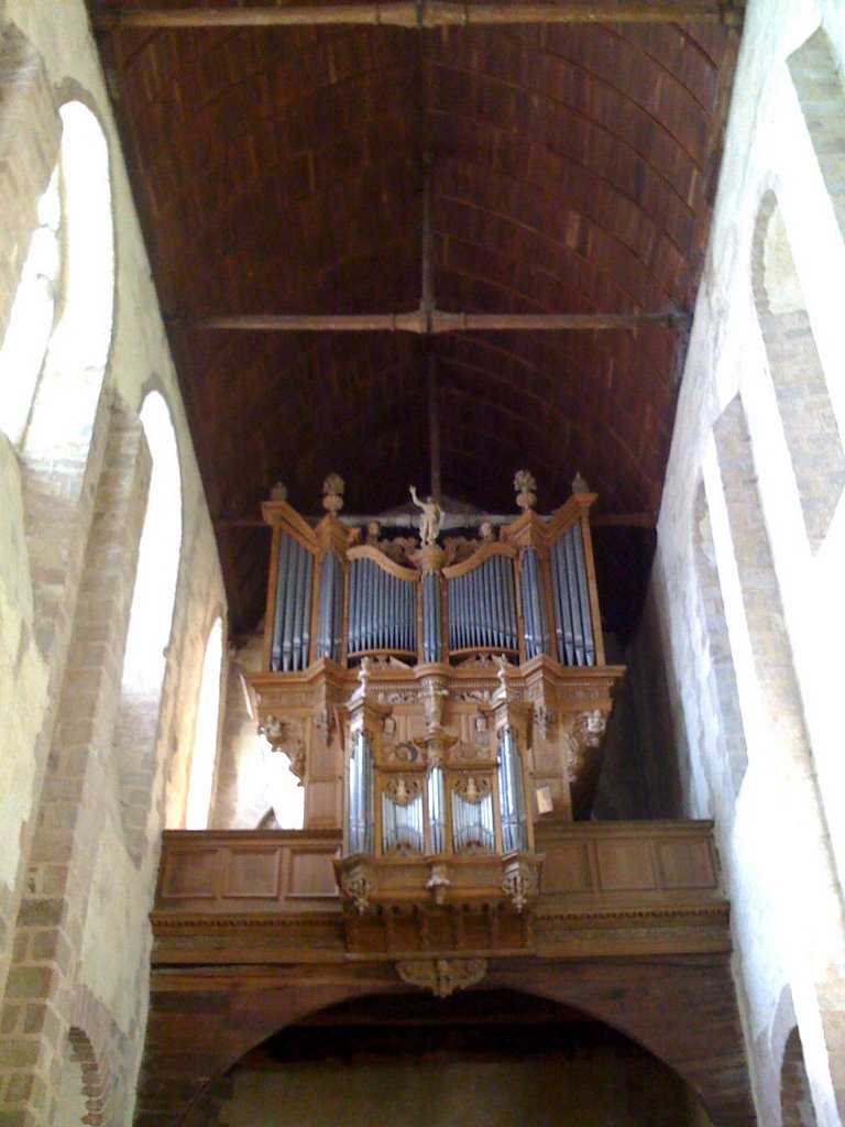 Grand Orgue de la Basilique by Pti Cruiser