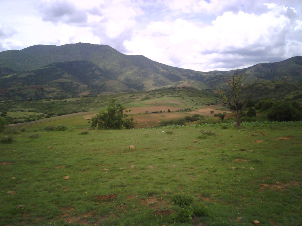 La Compañía, Oax., Mexico by William Middleton