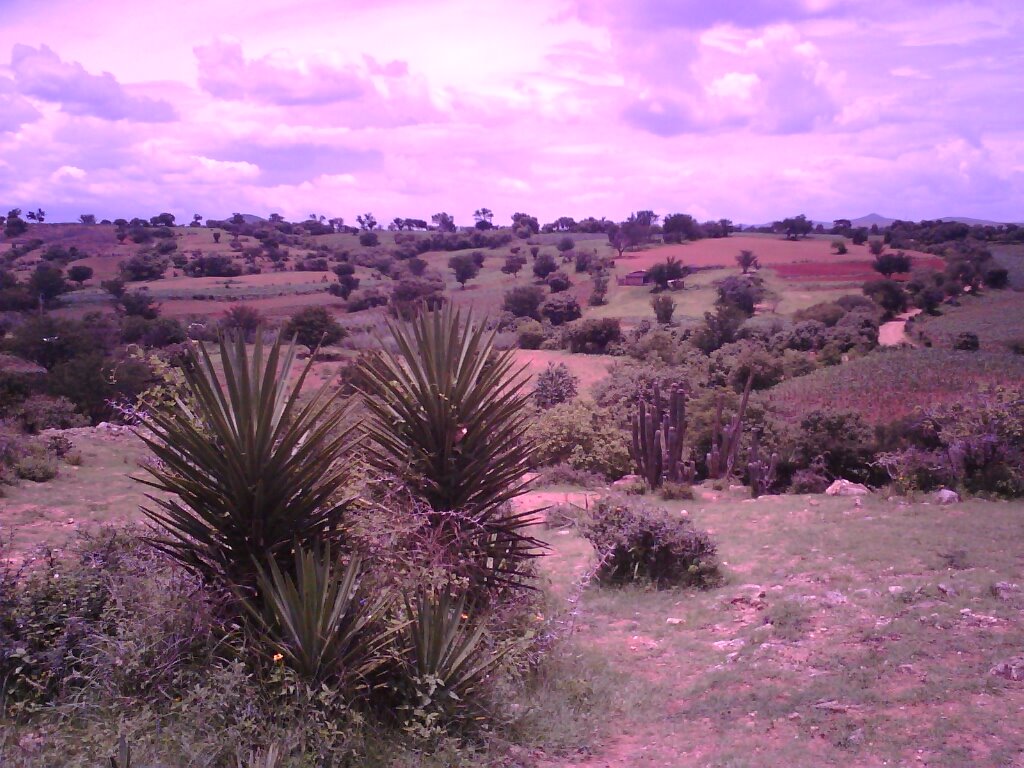 La Compañía, Oax., Mexico by William Middleton