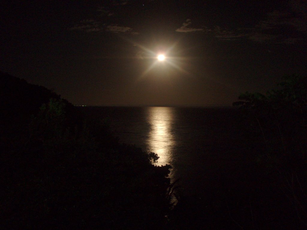 Golden Moon in a quiet night by Luigerbo