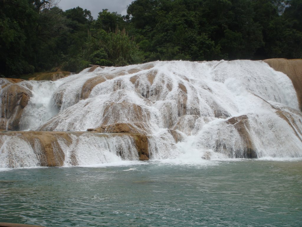 Casacadas agua azul by francisco franco m