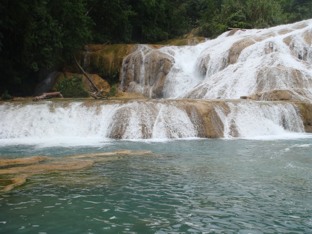 Cascadas Agua Azul by francisco franco m