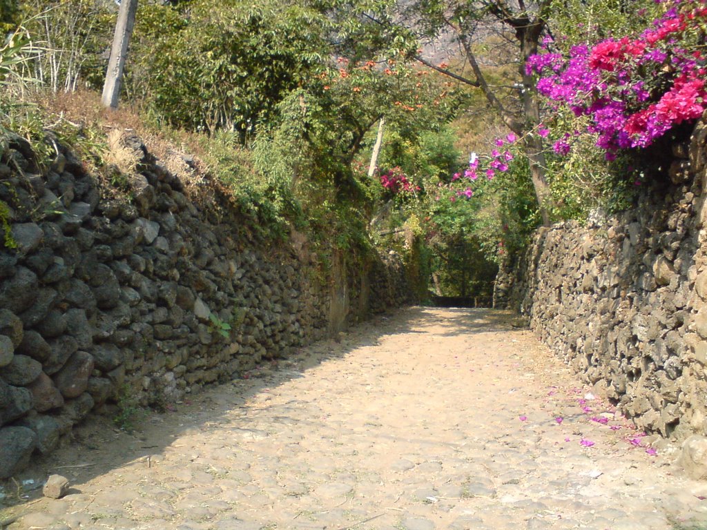 Callejón con Basamentos Piramidales en los Costados,Tepoztlán, Morelos by Gabriel Alejandro Al…