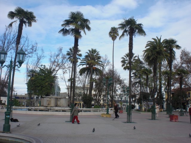 Plaza de quillota, by balparaiso